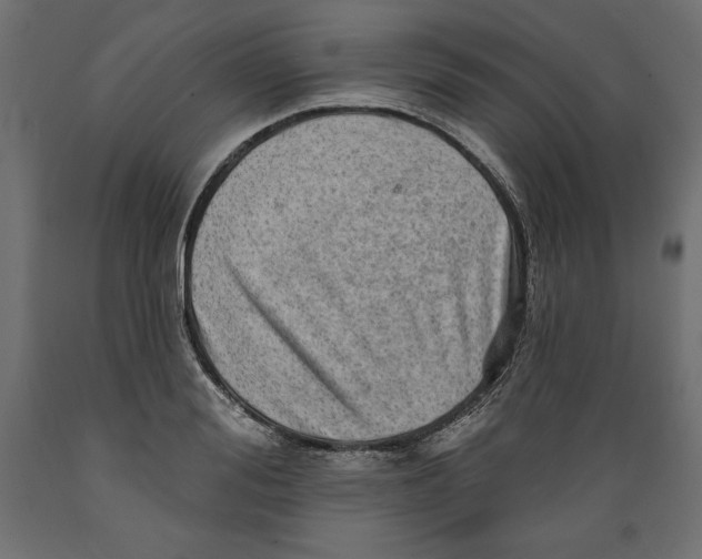 X0000088870988200707061344