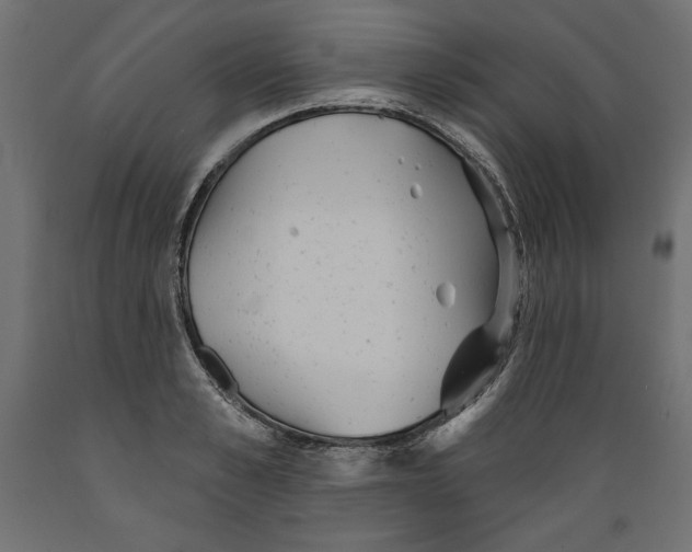 X0000088870989200707061344