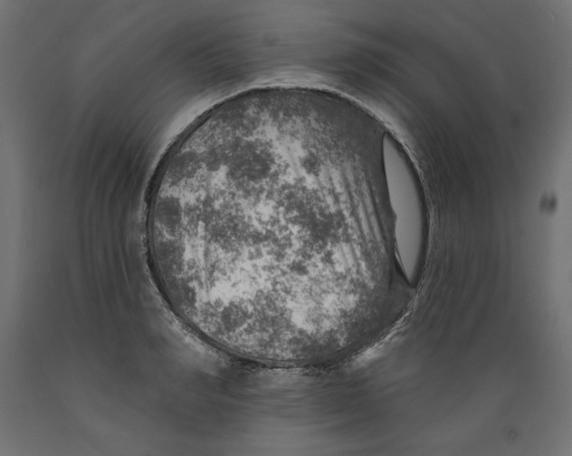 X0000088870990200707061344
