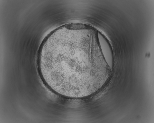 X0000088870991200707061343