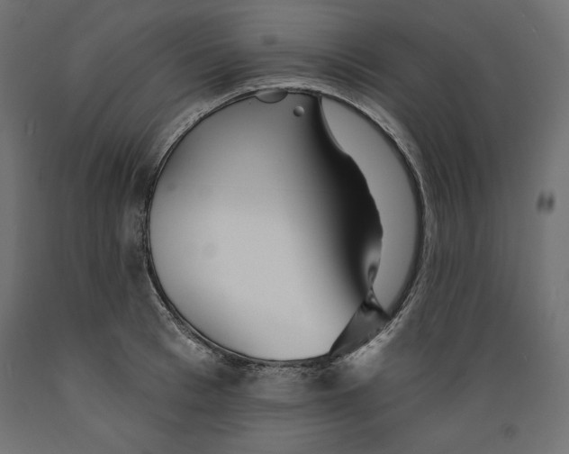 X0000088870993200707061343