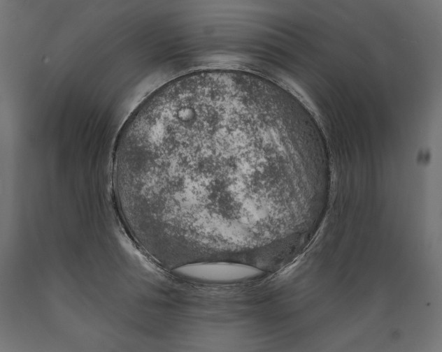 X0000088870994200707061343