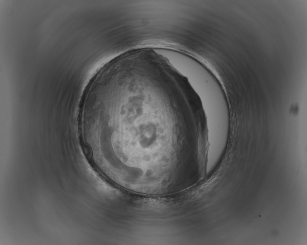 X0000088870995200707061343