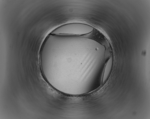 X0000088870996200707061343