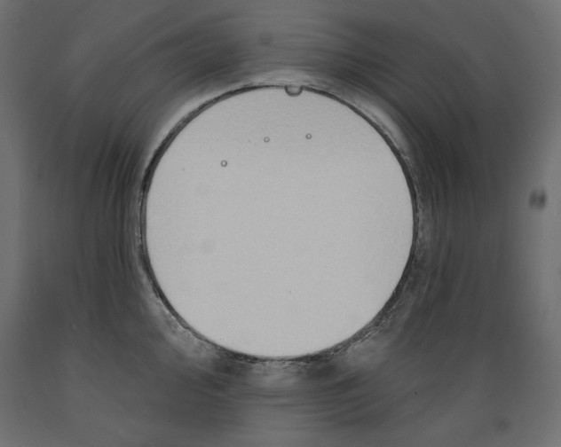 X0000088871000200707061343