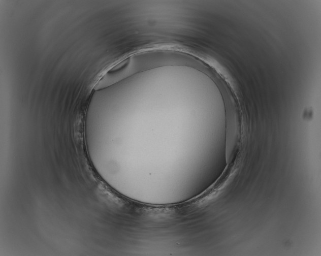 X0000088871001200707061343