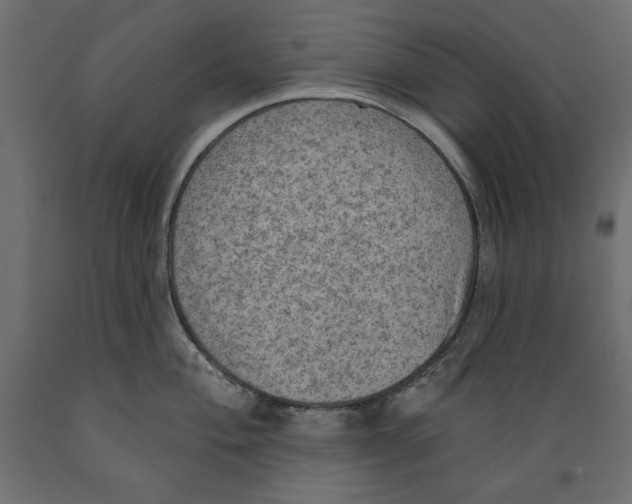 X0000088871004200707061343