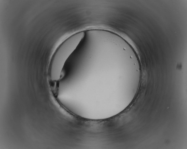 X0000088871005200707061343