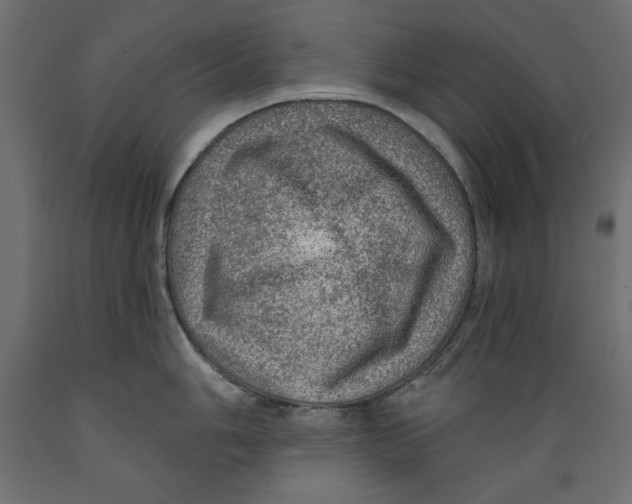 X0000088871006200707061343