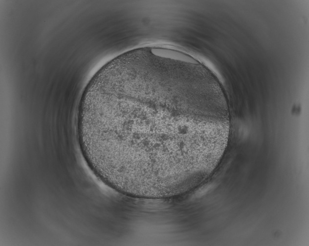 X0000088871007200707061343