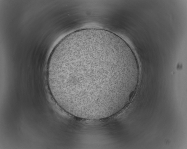 X0000088871008200707061343