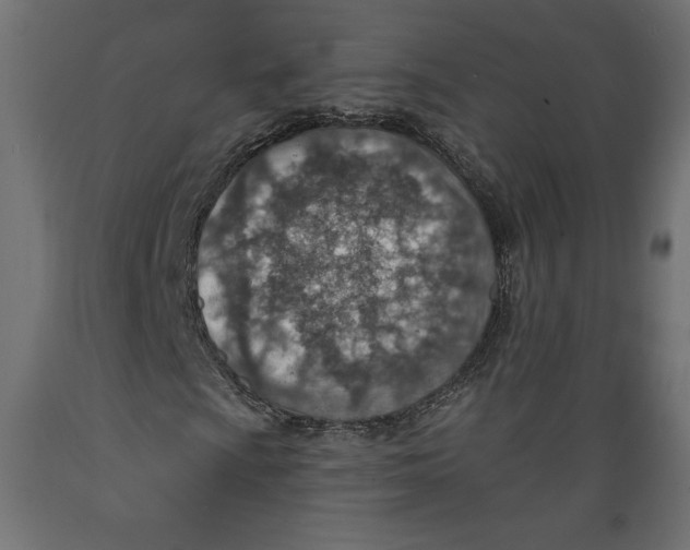 X0000088871009200707061343