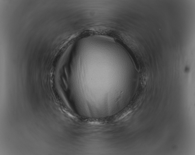 X0000088871010200707061343