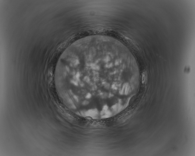 X0000088871011200707061343