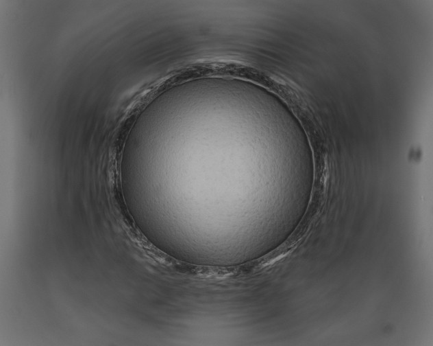 X0000088871014200707061343