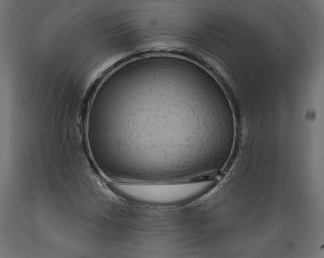 X0000088871018200707061343