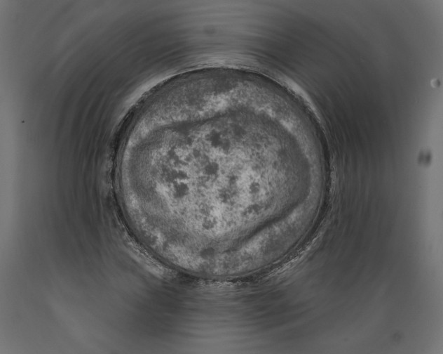 X0000088871019200707061343