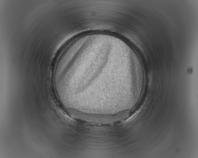 X0000088871021200707061343