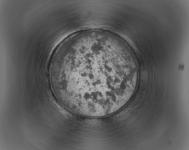 X0000088871023200707061343