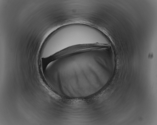 X0000088871024200707061343