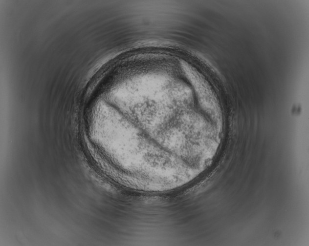 X0000088871025200707061343