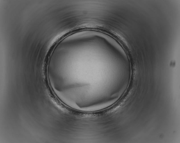 X0000088871026200707061343