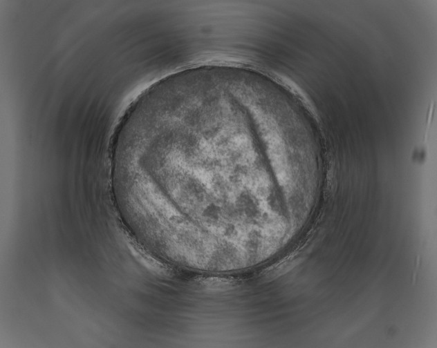 X0000088871027200707061343