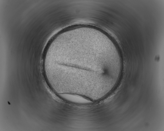 X0000088871029200707061343