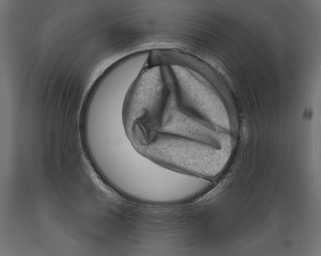 X0000088871030200707061343