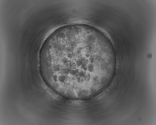 X0000088871031200707061343