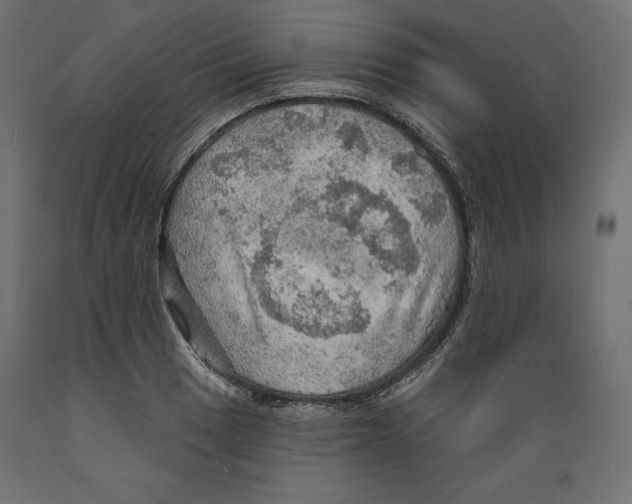 X0000088871033200707061343