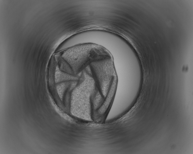 X0000088871034200707061343