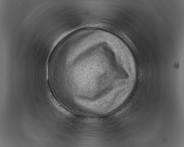 X0000088871036200707061343