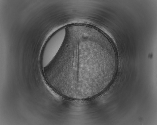 X0000088871037200707061343