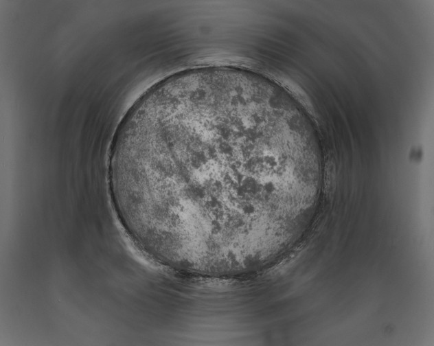 X0000088871039200707061343