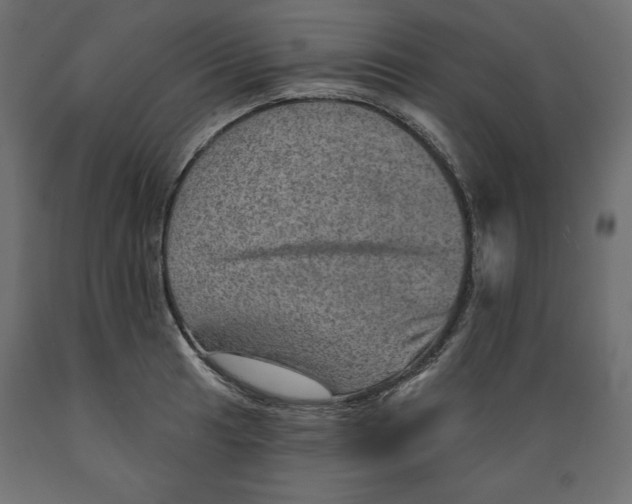 X0000088871041200707061343