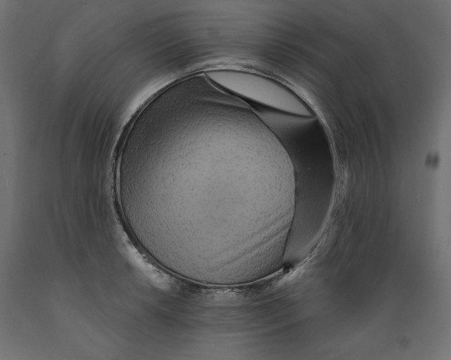 X0000088871042200707061343