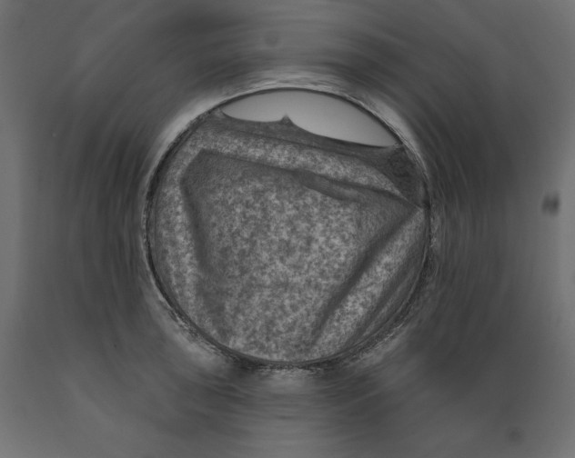 X0000088871043200707061343