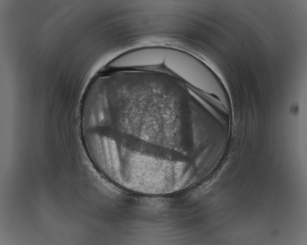 X0000088871045200707061343