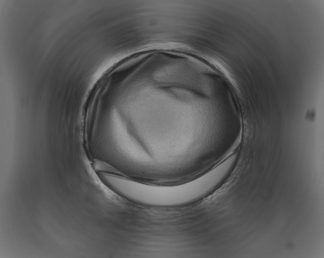 X0000088871046200707061343