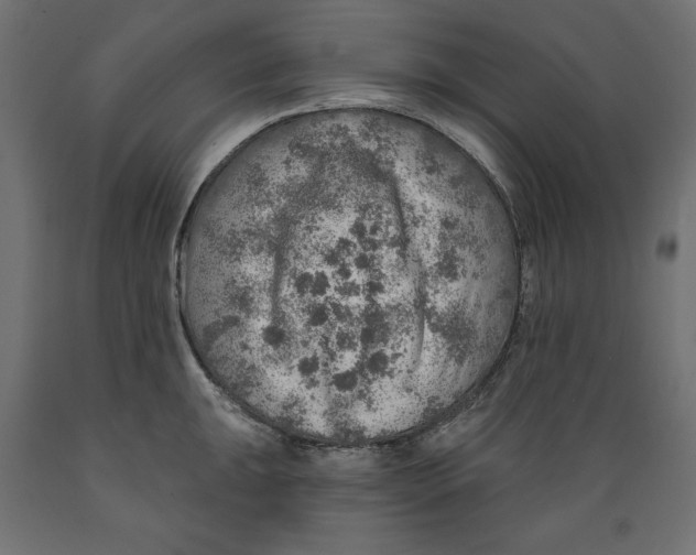 X0000088871047200707061343