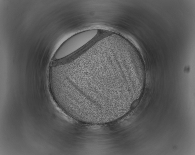 X0000088871048200707061343
