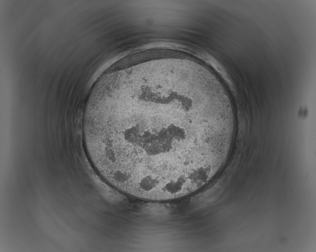 X0000088871049200707061343