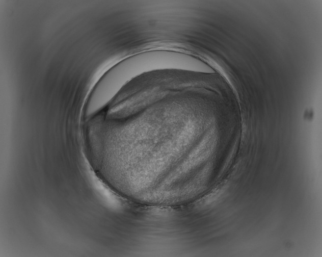 X0000088871050200707061343
