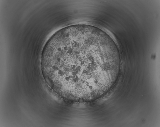 X0000088871051200707061343