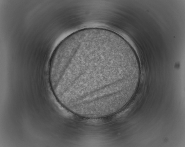 X0000088871053200707061343
