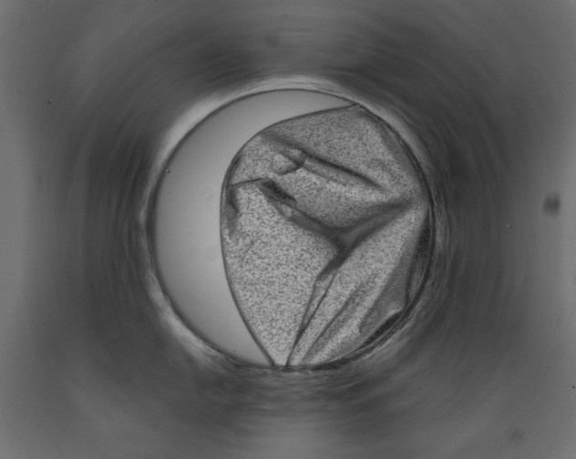 X0000088871054200707061343