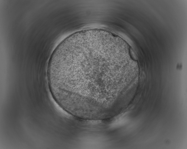 X0000088871055200707061343