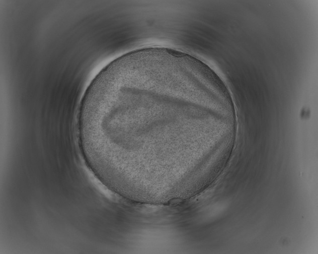 X0000088871056200707061343