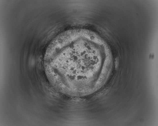 X0000088871059200707061343